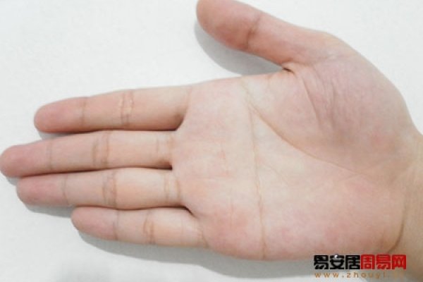 断掌纹男人的性格与命运-红迪亚