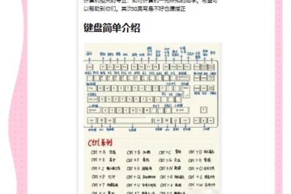 电脑测姓名的方法和准确性解析，从数理原理到软件推荐-红迪亚