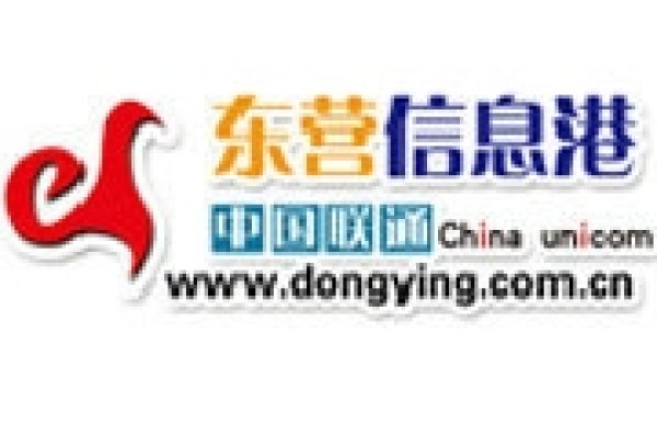 东营信息港聊天室，历史变迁与社交新体验-红迪亚