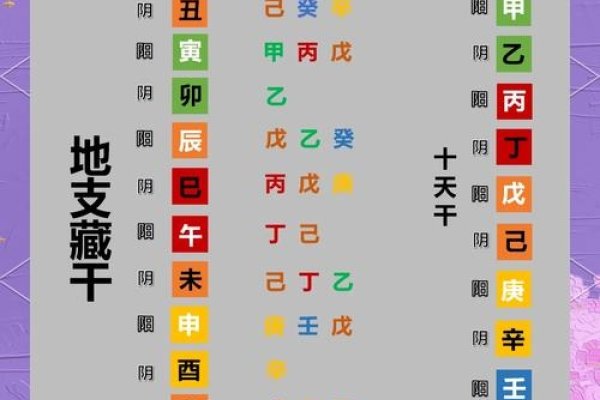 地支藏干解析，五行力量补充器-红迪亚