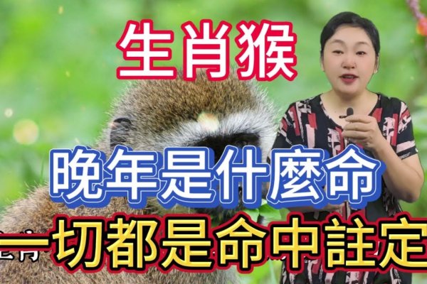 断章取义生肖猴-红迪亚