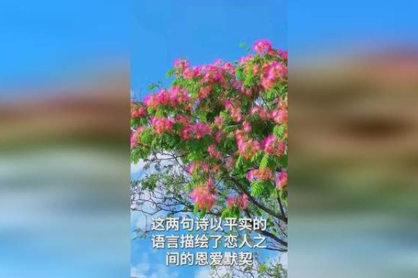 恩爱永恒，情深不渝。-红迪亚