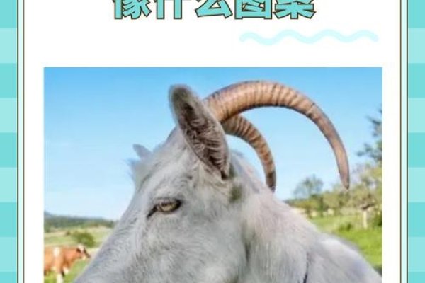 二人三足谜底揭晓，生肖羊的奇特脚趾结构揭示其独特之处-红迪亚