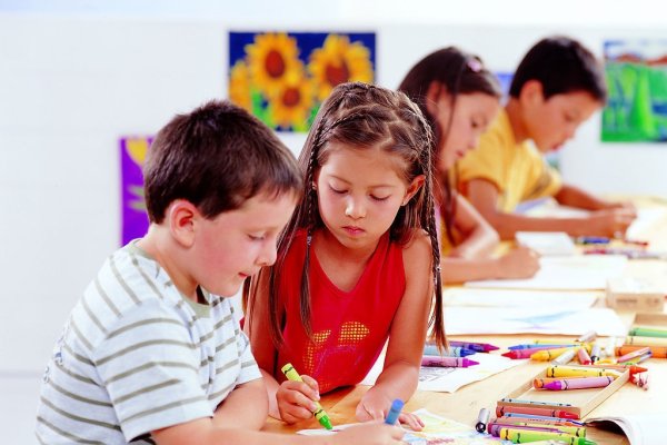 儿童教育网（儿童教育网站官网入口）-红迪亚