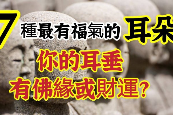 耳朵相命，财富与性格的征兆。-红迪亚