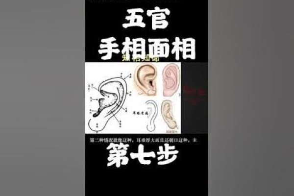 耳朵痣相图解，财运亨通，富贵之命解析-红迪亚