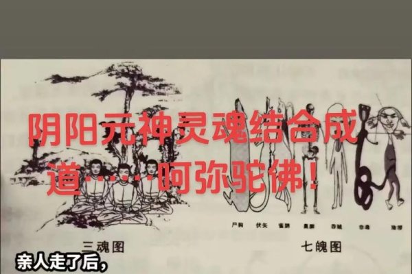 二月二与天胎的神秘联系-红迪亚