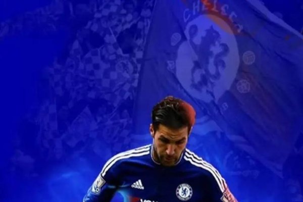 法布雷加斯,球场巨星与感情波折的传奇人生-红迪亚