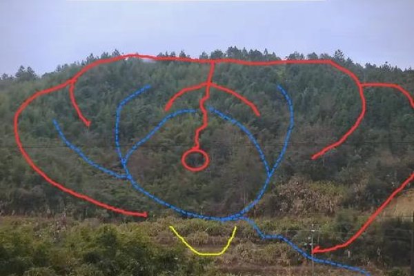 发财最猛的祖坟风水特征揭秘，三面环山、地势平坦，藏风聚气助子孙飞黄腾达-红迪亚