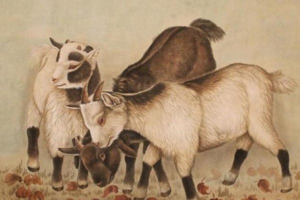 风调雨顺与生肖，龙、虎、羊的象征意义-红迪亚