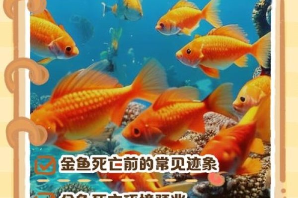 发横财的十大梦境解析，金鱼游动、身上有血、火炉火旺等，暗示财运亨通的周公解梦指南-红迪亚