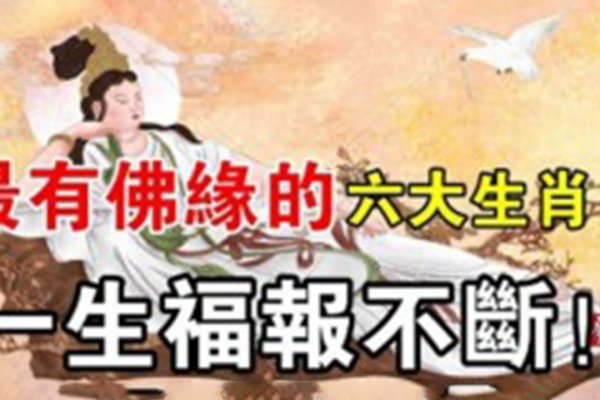 佛海无边,生肖之谜。-红迪亚