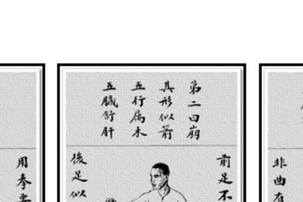 翻江倒海，龙虎猴皆可代表。-红迪亚