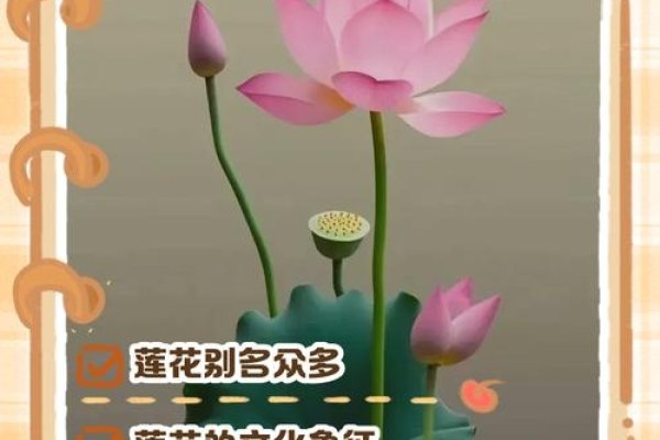 佛教色彩微信名字一览，慈悲心莲、禅意悠然等，传递吉祥清净之韵仅供参考。-红迪亚