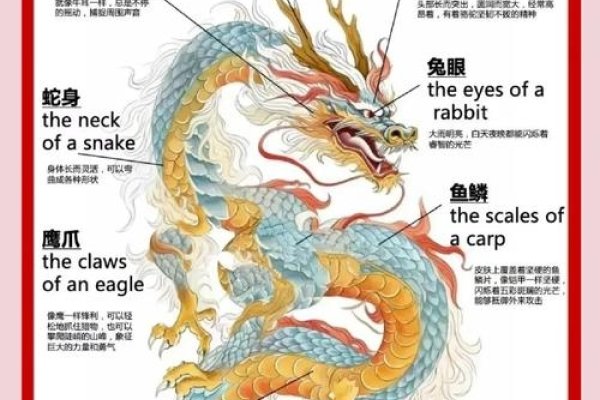 风起云涌指的是生肖龙,详细解析与联系-红迪亚