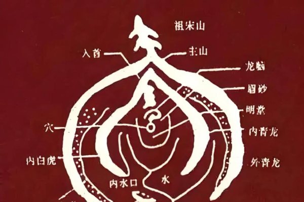 风水权威网站推荐及特点概览,专业平台如风水网、风火网与中国风水研究院等,详细解读不同网站的特色与功能,助您了解和应用风水知识。-红迪亚