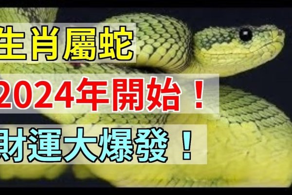 风水宝地与生肖，龙蛇之选-红迪亚