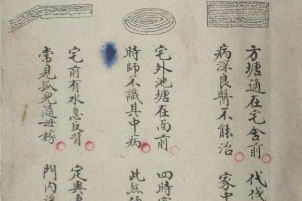 风水学书籍免费下载及核心内容预览，从地理学、阴阳平衡到家居色彩的风水解读-红迪亚