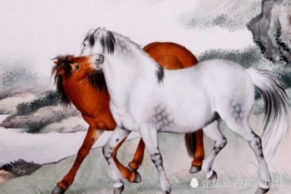 放荡不羁生肖马-红迪亚