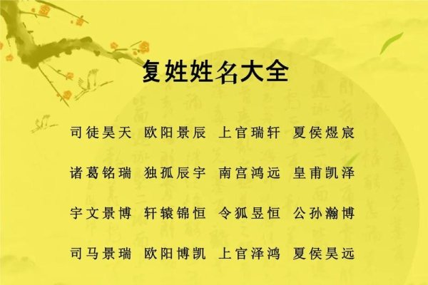 复姓名字精选，古风韵味与个性搭配，或者，好听的复姓古韵人名一览-红迪亚