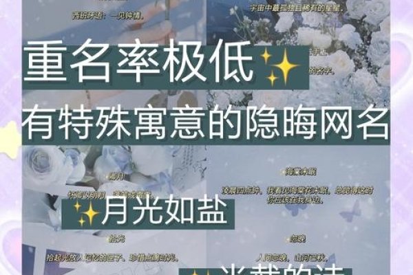 高级感微信ID推荐，倾城、墨染、晨曦、霁月，独特且寓意深刻的微信号，如Lovely_Dreamer、Archer_Vision。-红迪亚