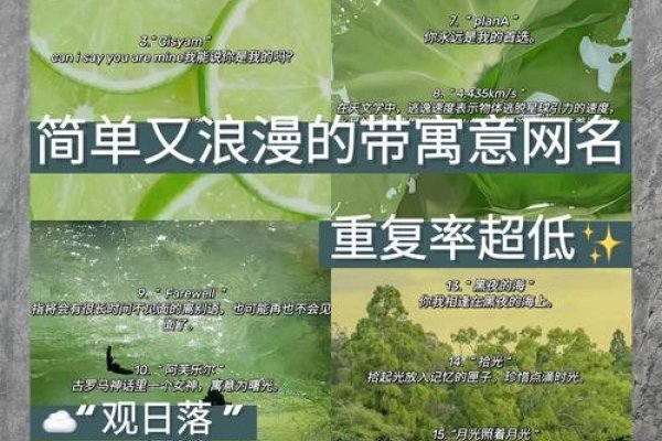 根据提供的文章内容，以下是推荐的标题，，精选QQ网名大集合，诗意、独特与时尚并存！-红迪亚