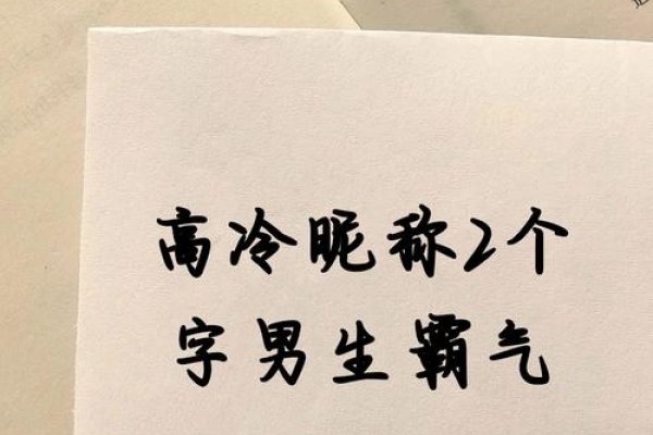 高冷男生二字网名，霸气且深邃，北笙、冷静如风，理由，这两个昵称简洁有力，寓意着独立与自信。同时，北字体现了北方的高远和坚韧，笙则给人一种悠扬的感觉，整体给人以一种既高冷又温柔的印象。-红迪亚