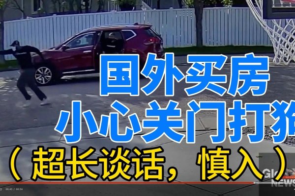 关门打狗生肖解读-红迪亚