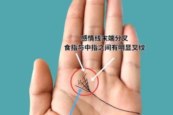 感情线末端分叉解读-红迪亚