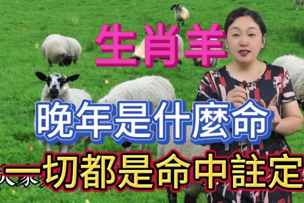 高山流水指的生肖是羊，谜底解析为山羊。-红迪亚