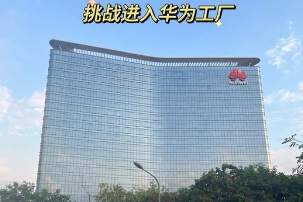 公司名字（行政区划+字号），深圳市华为技术有限公司，华为（深圳） 技术之星-红迪亚