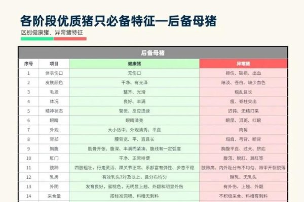 过往之猪详解，命运与性格特征探索-红迪亚