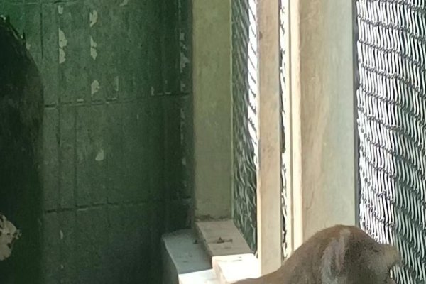 光棍节和大双十一，日期解析与节日起源-红迪亚