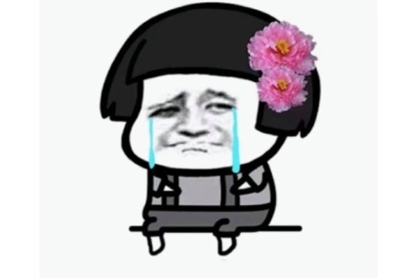 搞笑网名大全，张开嘴巴笑哈哈，谐音梗，轻松幽默。，逗比小仙女，可爱俏皮，充满趣味。，张嘴就来乐呵呵，乐观开朗的个性体现。，张狂张霸气，展现男性或女性独特的霸气风格。，一只鸡从小作弊、考入银行工作等，独特且有趣的谐音网名。，高姓男生网名建议，如高乐天、高萌萌等，彰显自信与活力。，个性昵称推荐（根据不同性格特点），一闪亮光头、厕所蹦迪、太阳曾哭过等等。，其他参考名字，在咫尺却又遥不可及、一笑而过无忧愁 等。-红迪亚