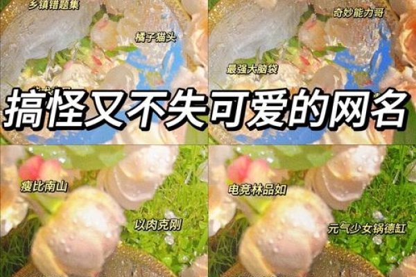 搞笑QQ网名大赏，病猫、农夫拳与英雄传-红迪亚