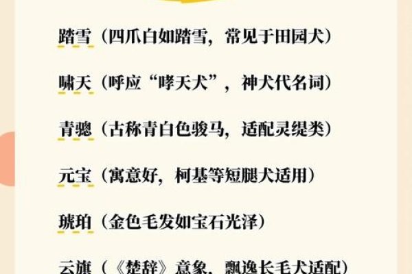 个性狗狗名字精选，霸气网红之选如狂狼、铁血，彰显野性与力量；温馨甜蜜之名如甜甜、Danae，尽显时尚与优雅魅力。-红迪亚