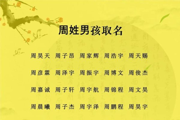 给孩子起名的优质网站推荐，起名通、起名网与周易起名。-红迪亚