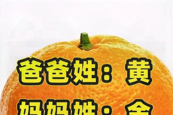 关于父母姓氏黄金组合的名字推荐建议，黄姓金名，给孩子起个寓意深远的名字-红迪亚