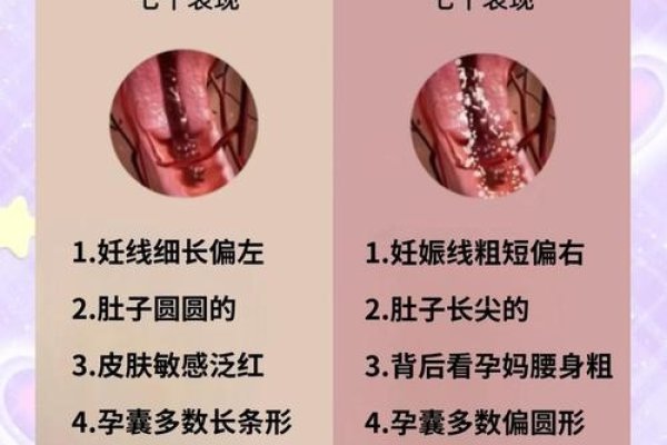 关于怀孕知识科普，如何预测宝宝性别与孕期注意事项？-红迪亚