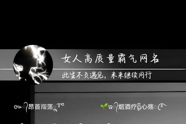 关于快手昵称的精选推荐，炫酷霸气、独特好听的快手名字大全-红迪亚