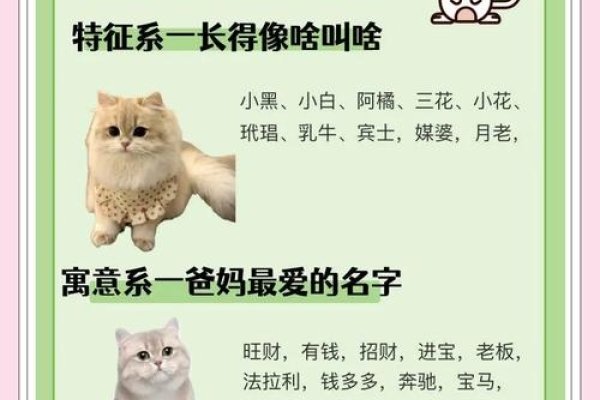 关于名字的好听与寓意解析，雅琳、琪瑶等女孩名，猎人、恺撒等猫咪名，以及独特微信昵称推荐-红迪亚