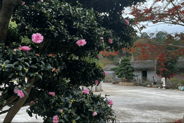 关于农历十一月重要日期的解析及黄历信息解读-红迪亚