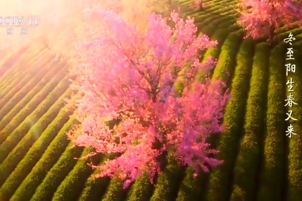 关于农历与公历的冬至日期解析，从阳历角度看，每年12月大致在冬至节气前后；但从农历看，小年即腊月二十三或二十四日。历史上的特殊年份如部分辛亥革命前后的年份及特定时间段（例如十九世纪后半叶至二十世纪前半叶的某些年代），以及具体的传统习俗和庆祝活动都与这一天有关。冬节、亚岁，是中国传统节日之一，兼具自然与人文化内涵。-红迪亚