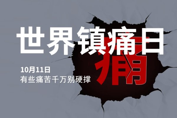 关于日期重要性的解析，世界镇痛日、盲人节等节日的纪念与关注焦点建议，十月十一日的特殊意义——多个国际纪念日聚焦疼痛管理，视力障碍者权益与生活质量的提升-红迪亚