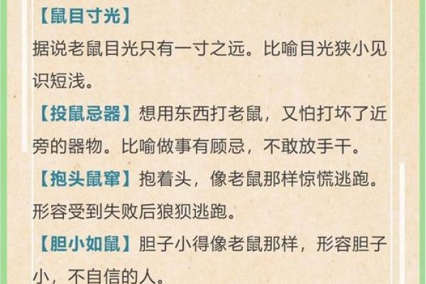 关于生肖鼠与卑鄙无耻的特质解析-红迪亚