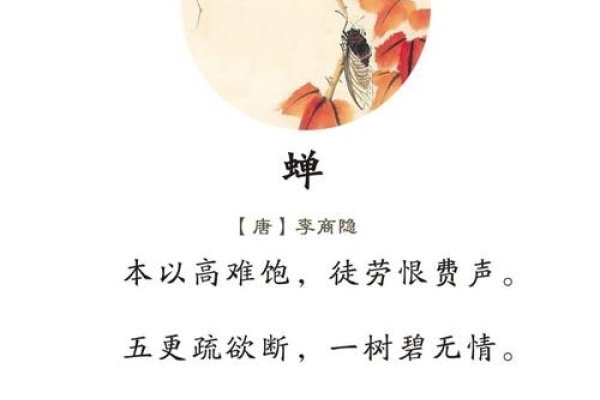 关于婵的汉字解析与释义，女子姿态美好，也指美女或月亮婵字探微，从女娟美到修行得道的和平恬静之美-红迪亚