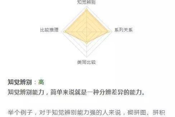 关于智商测试，全面解析你的智力水平，建议， 揭秘您的真实智商，专业与在线测试大比拼！-红迪亚