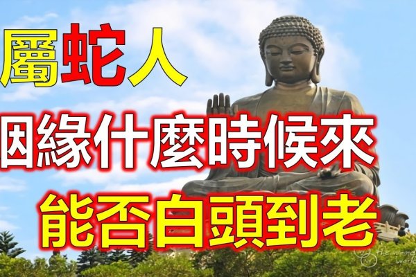 关于属蛇女孩结婚的最佳时机分析，姻缘可能在龙年（如2024年）或马年（如2026、部分年份的生肖运势与婚姻状况解析-红迪亚