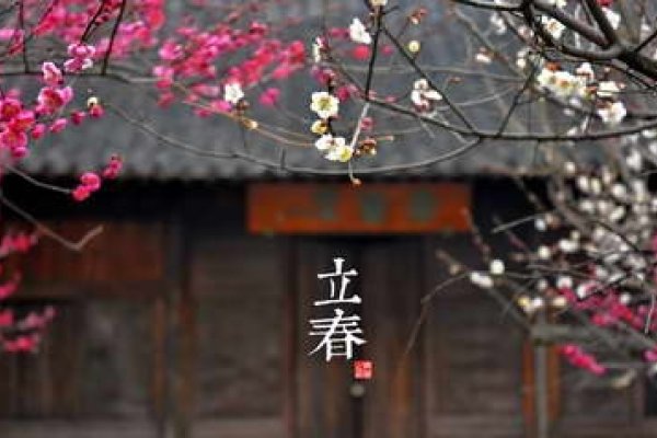 关于2019年立春的日期-红迪亚