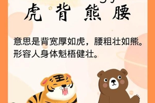 虎背熊腰指的是生肖虎。这个成语由虎和熊两个动物组成，形容人的体型健壮如虎脊背与熊的腰身。在十二生肖中，虎是与之直接相关的生肖，代表着勇猛和力量。-红迪亚